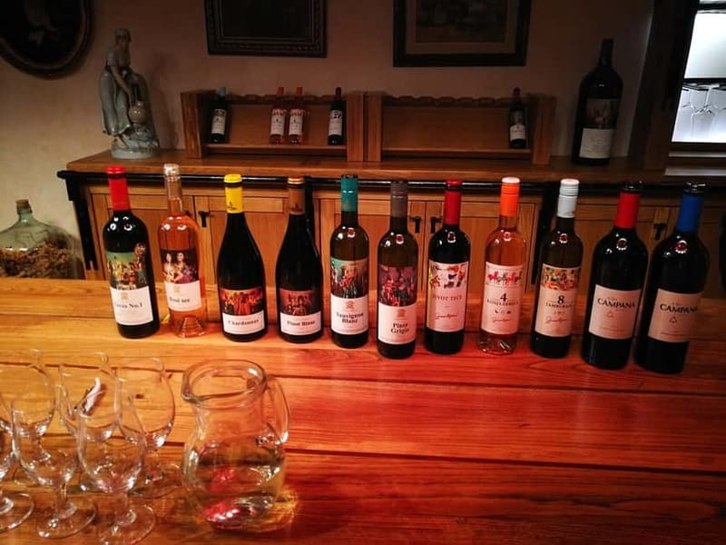 From Belgrade: Subotica and Palic Full-Day Trip with winery - Zvonko Bogdan winery visit: guided tasting with an extra choice