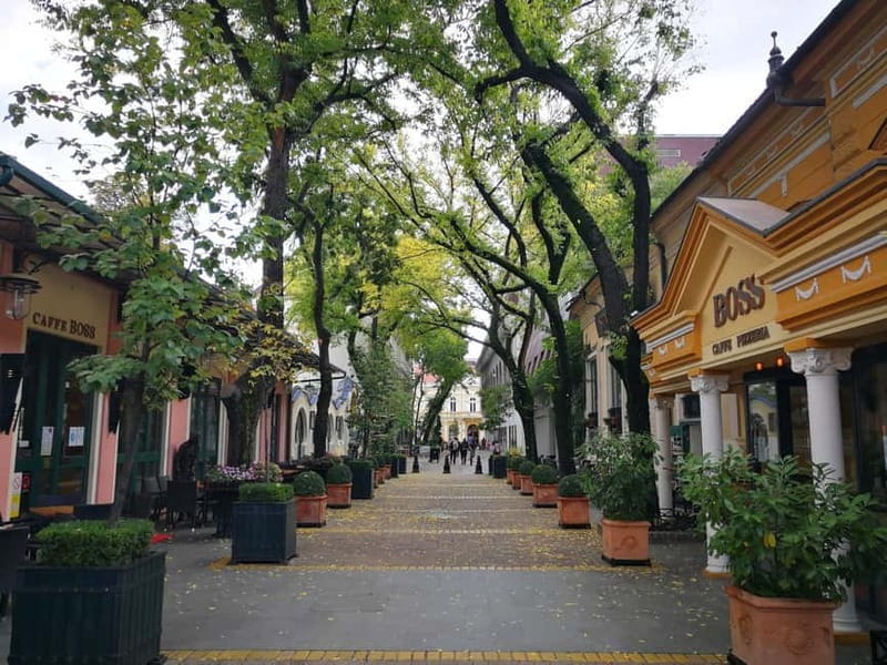 From Belgrade: Subotica and Palic Full-Day Trip with winery - Palić Lake: the quiet reset between culture and return to Belgrade