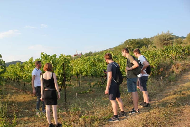 From Berat: Guided Winery Tour with Transfers and Tastings - Key highlights at a glance