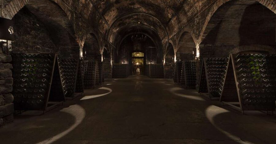 From Bergamo: Winery Tour in Franciacorta with Lunch - Key things you’ll notice on this Bergamo to Franciacorta day trip