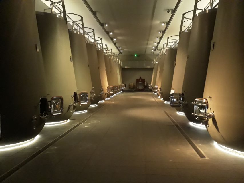 From Bordeaux: Médoc Vineyard and Chateau Tour by Sidecar - The Chateau Visit: What Makes the Tastings Feel Worth It