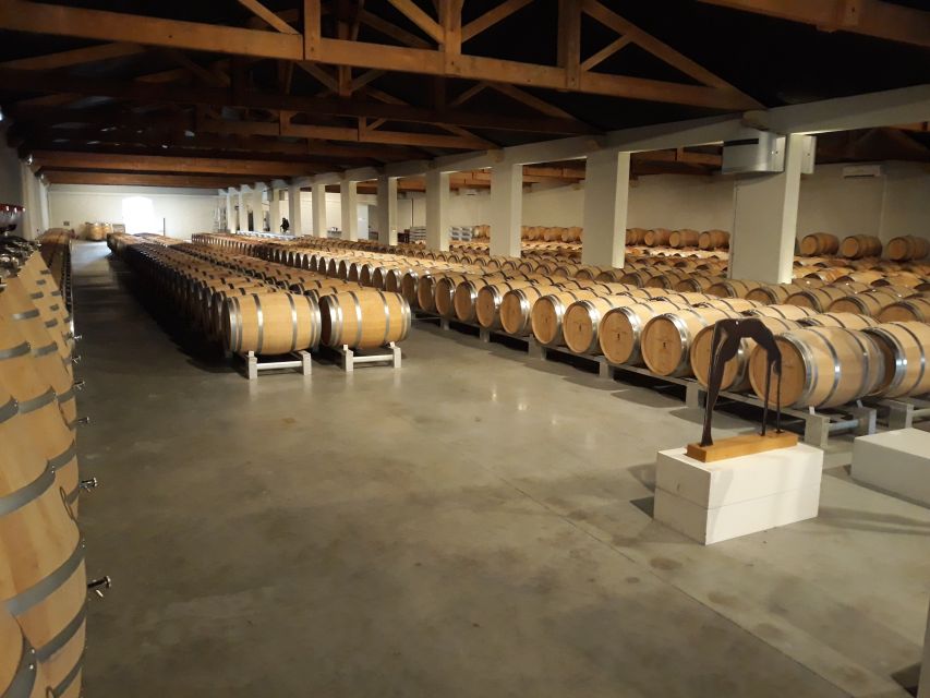 From Bordeaux: Médoc Vineyard and Chateau Tour by Sidecar - Wind, Rain, and What to Wear (So the Ride Stays Fun)