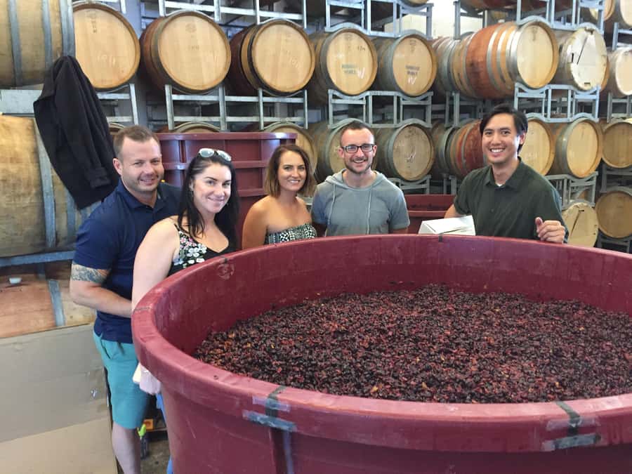 From Canberra: Winery, Distillery, & Tasting Tour with Lunch - Canberra Wine-Region Day, Without the Car Stress