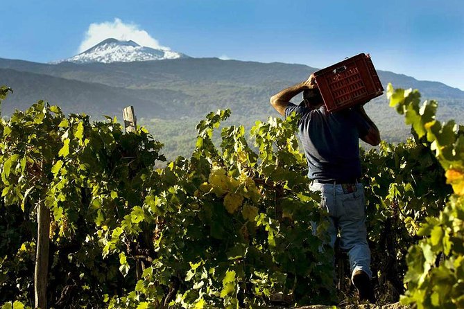 From Catania: Private and Guided Etna tour + Lunch at Etna Winery - Getting from Catania to Etna: the day starts in the car