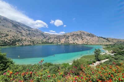 From Chania Private half day Winery-Olive factory-Kournas lake - Dourakis Winery: Family-Run Wine Time With Clear Pricing
