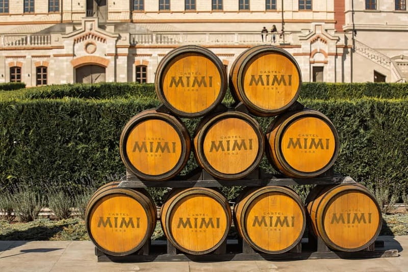 From Chisinau:Transnistria and Castle Mimi Winery by car - Who this tour suits best (and who should think twice)