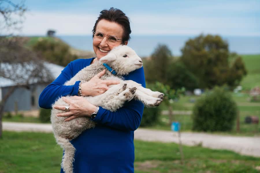 From Christchurch: Sheep Farm Day Trip with Lunch & Winery - Louise’s Lookout Picnic and the Pacific View Factor