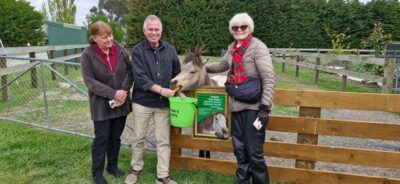 From Christchurch: Sheep Farm Experience with Lunch & Winery - The Shearing Show: How It Works and What to Watch For