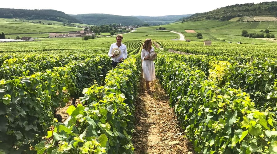 From: Dijon/Beaune: Burgundy Region Winery Tour with Lunch - Key highlights you’ll feel all day