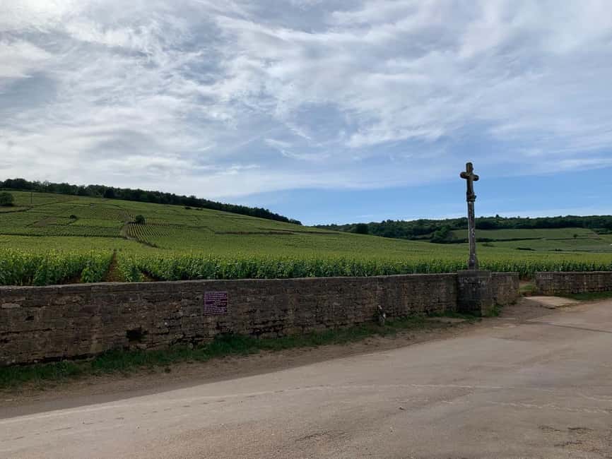 From: Dijon/Beaune: Burgundy Region Winery Tour with Lunch - Who this tour is best for (and who should skip it)