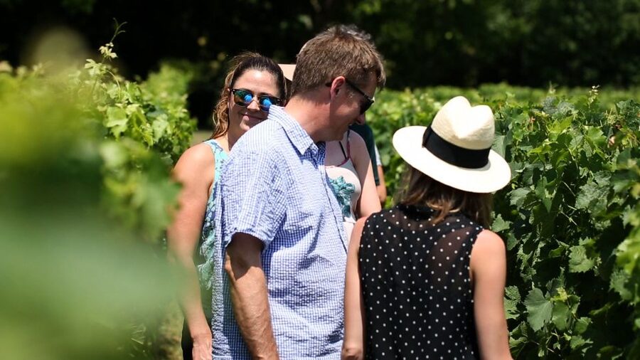 From: Dijon/Beaune: Burgundy Region Winery Tour with Lunch - Lunch in Burgundy: charcuterie and artisanal cheeses, done right