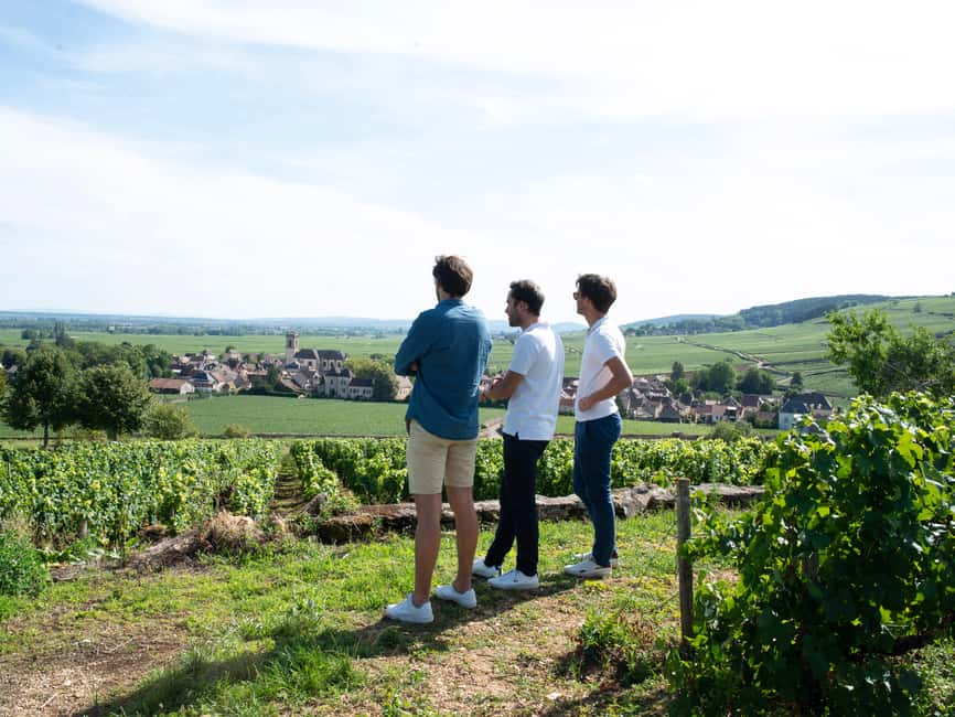 From: Dijon/Beaune: Burgundy Region Winery Tour with Lunch - Family-run winery time: tasting in the real setting