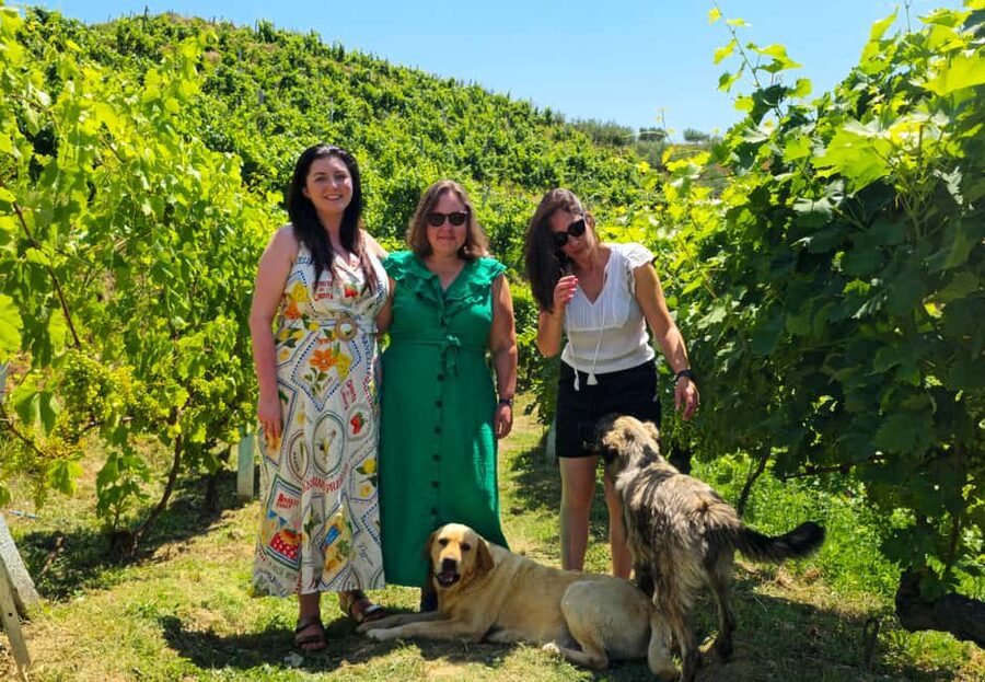 From Durrës: Albanian Wine Tasting with Vineyard & Boat Tour - Pickup in Durres: How the day starts (and why it matters)