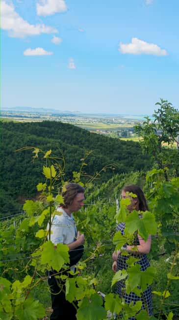 From Durrës: Albanian Wine Tasting with Vineyard & Boat Tour - Lake boat cruise: the view break you’ll actually remember