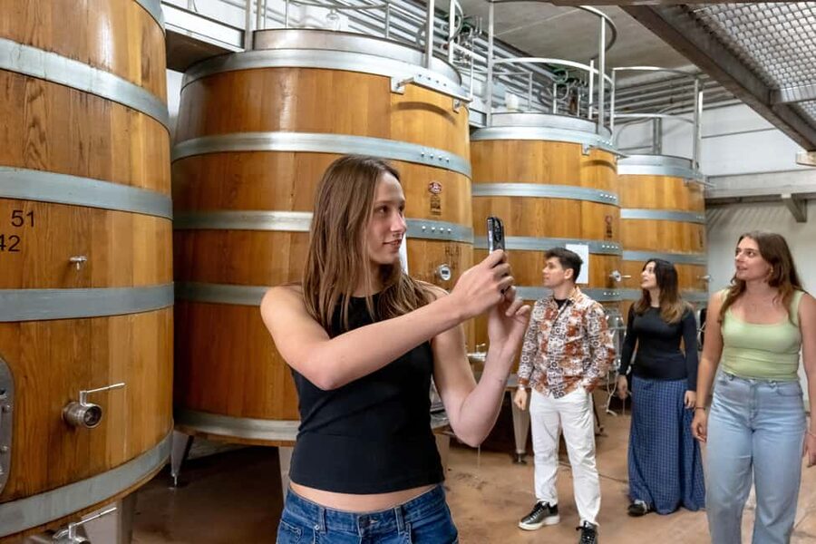 From Florence: Tuscany, Siena, San Gimignano & Winery Lunch - Comfort, Guides, and Group Size: What You’ll Feel During the Day