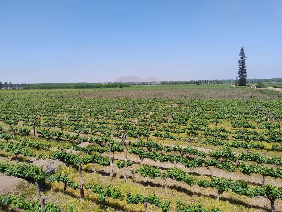 From Ica or Huacachina: Tour to Tacama Vineyard and Artisanal Winery. - Key things I’d mark on your map
