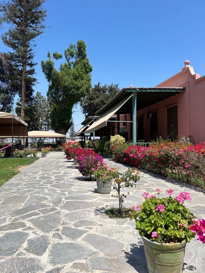 From Ica or Huacachina: Tour to Tacama Vineyard and Artisanal Winery. - Cutur Pisco at Fundo - Hotel El Arrabal: artisan pisco plus historic cellars