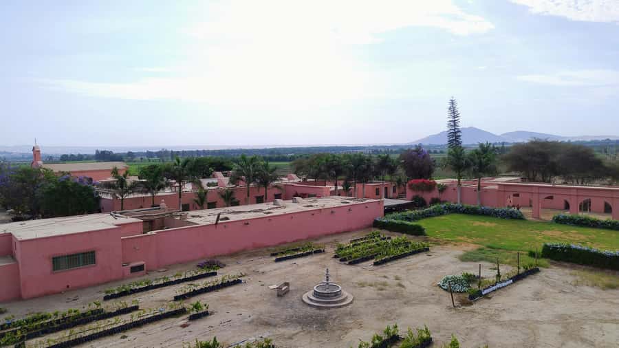 From Ica or Huacachina: Tour to Tacama Vineyard and Artisanal Winery. - Price and value: is $25 a good deal for this winery lineup?