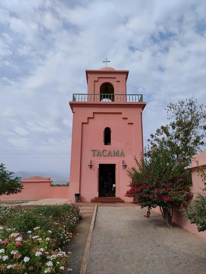 From Ica or Huacachina: Tour to Tacama Vineyard and Artisanal Winery. - Who this tour suits best