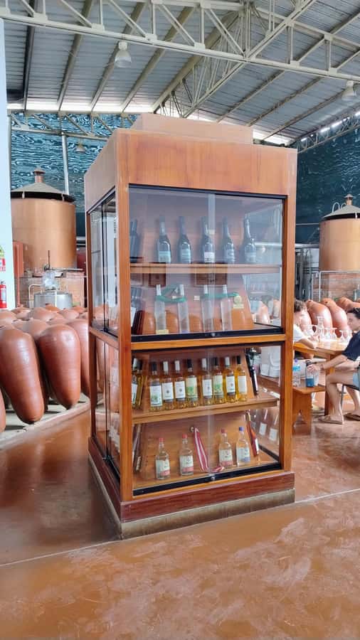 From Ica or Huacachina: Tour to Tacama Vineyard and Artisanal Winery. - Should you book this Ica pisco tour?
