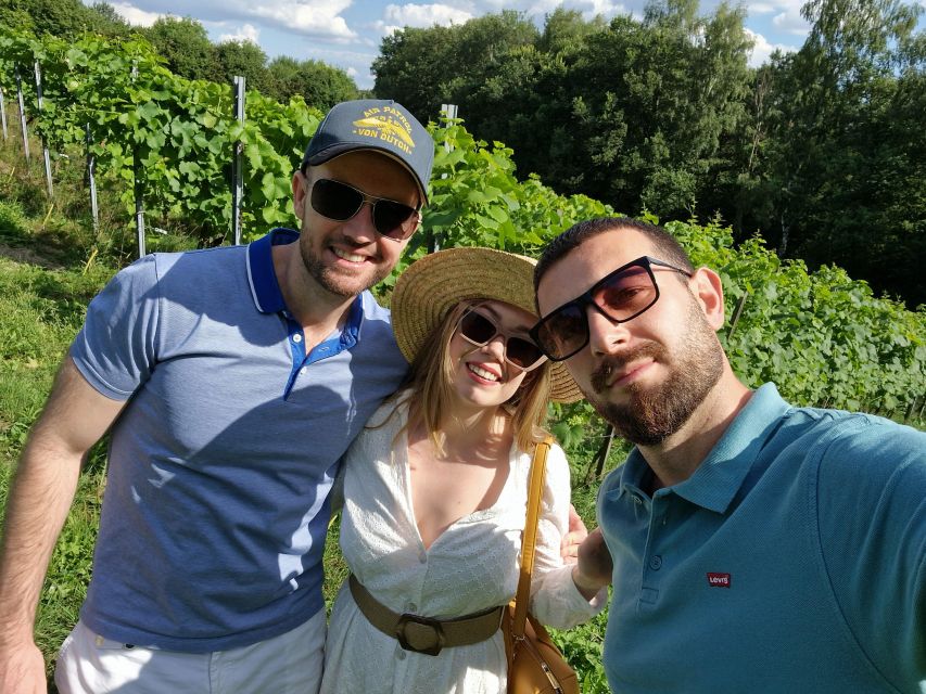 From Krakow: Wine Tasting at Vineyard - The Organic Vineyard Walk: What You See Changes What You Taste