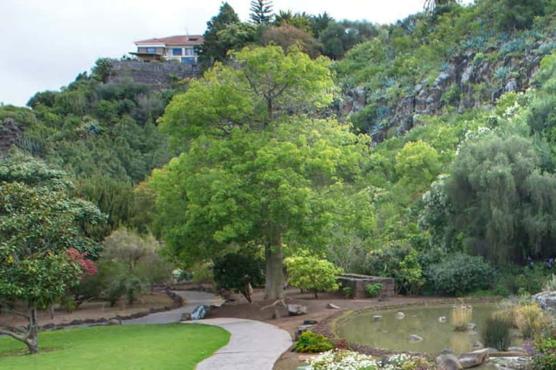 From Las Palmas: Half day tour Volcano Bandama & Vineyard - Getting from Las Palmas to Tafira without stress