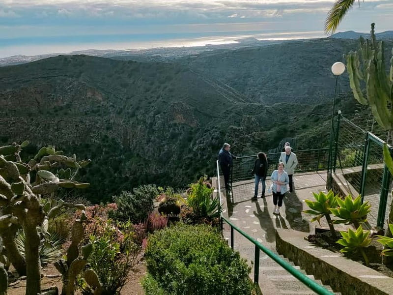 From Las Palmas: Half day tour Volcano Bandama & Vineyard - Bandama Volcano views that feel bigger than the photos