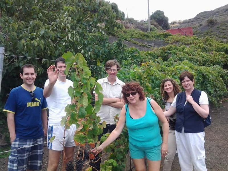 From Las Palmas: Half day tour Volcano Bandama & Vineyard - FAQ