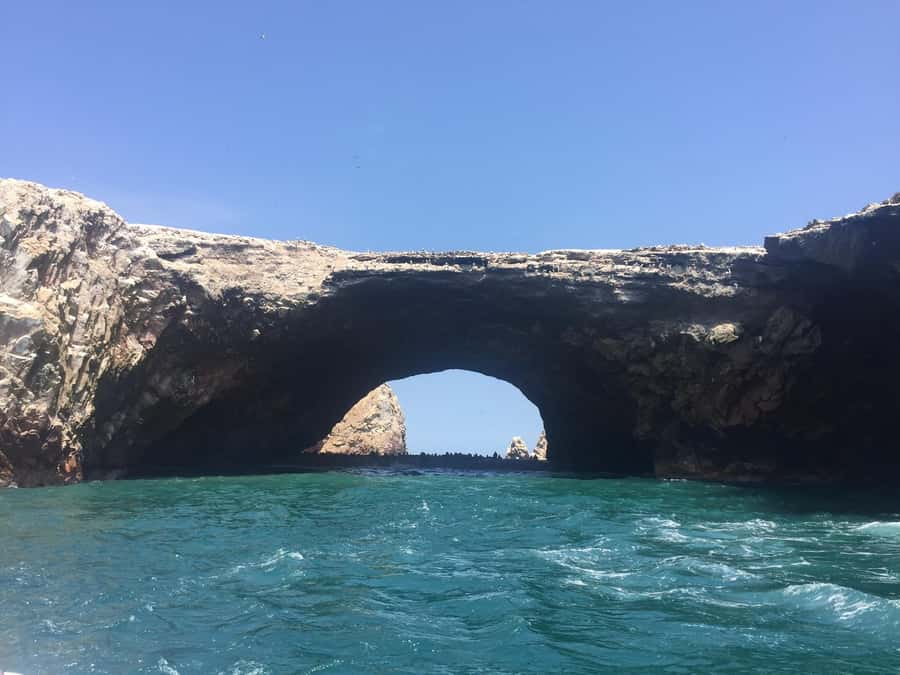 From Lima: Ballestas Islands, Huacachina, and Vineyard Tour - Who This Tour Suits Best (and Who Might Want Another Option)