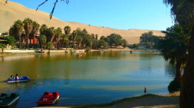 From Lima: Huacachina Oasis Tour, Winery & Desert Sunset - Winery and pisco tasting in the Ica region