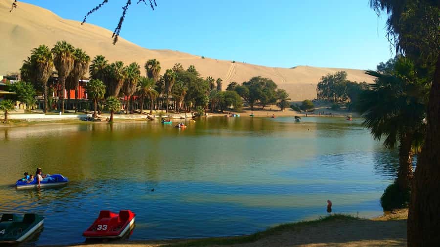 From Lima: Huacachina Oasis Tour, Winery & Desert Sunset - Winery and pisco tasting in the Ica region