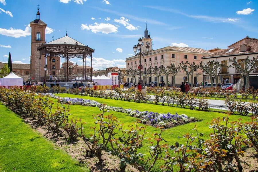 From Madrid: Alcalá de Henares, Winery Tour & Wine Tasting - Key things to love about this day trip