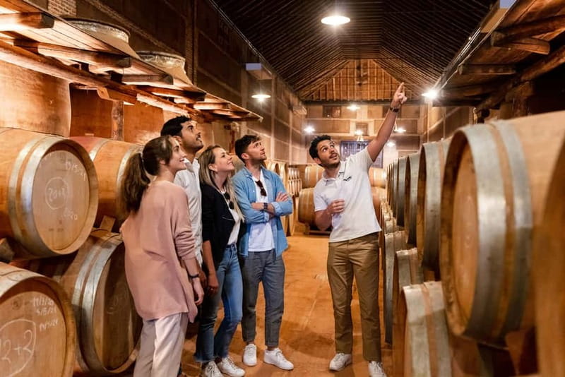 From Madrid: Toledo Guided Tour & Winery Visit with Tasting - Toledo’s Jewish Quarter walk: where the guide makes the city click