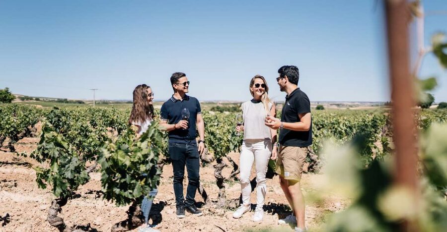 From Madrid: Traditional Villages, Winery Tour & Tapas Lunch - Key Highlights You’ll Actually Notice
