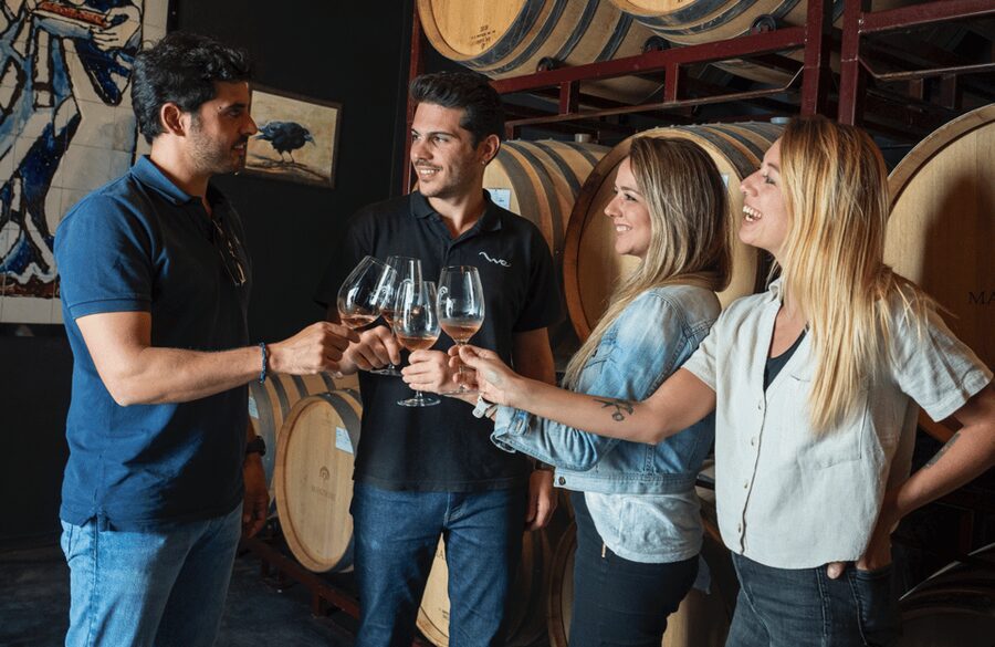 From Madrid: Traditional Villages, Winery Tour & Tapas Lunch - Wine Tasting + Tapas Lunch: The Pairing That Makes It Worth It