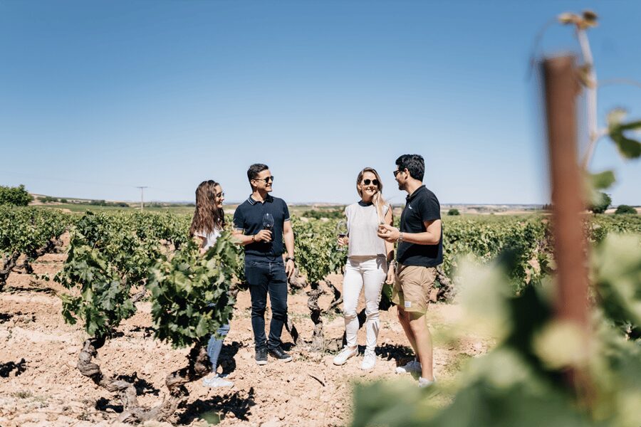 From Madrid: Traditional Villages, Winery Tour & Tapas Lunch - The Coach Time: How the Day Gets Organized from Madrid