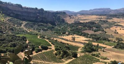 From Marbella: Ronda Tour Wineries Tour with Lunch - Ronda Free Time: Don’t Treat It Like a Quick Photo Stop
