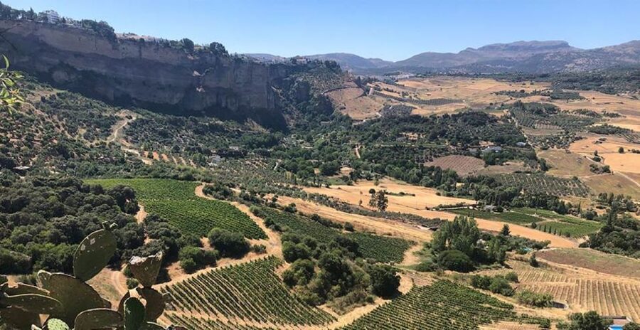 From Marbella: Ronda Tour Wineries Tour with Lunch - Ronda Free Time: Don’t Treat It Like a Quick Photo Stop