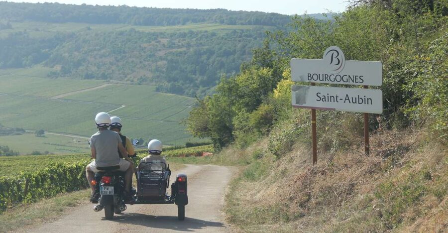 From Meursault: Private Sidecar Tour & Vineyard Wine Tasting - The Tasting in the Vineyards: Wine, Choice, and Commentary