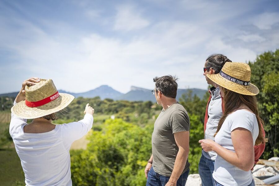 From Montpellier: Half-Day Vineyard & Pic Saint-Loup Tour - Should You Book This Half-Day Wine Tour From Montpellier?