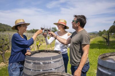 From Montpellier: Half-Day Vineyard & Pic Saint-Loup Tour - Pic Saint-Loup First Stop: Guided Time With Wine Tasting