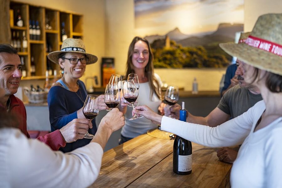 From Montpellier: Half-Day Vineyard & Pic Saint-Loup Tour - How the Tasting Workshop Helps You Taste Better