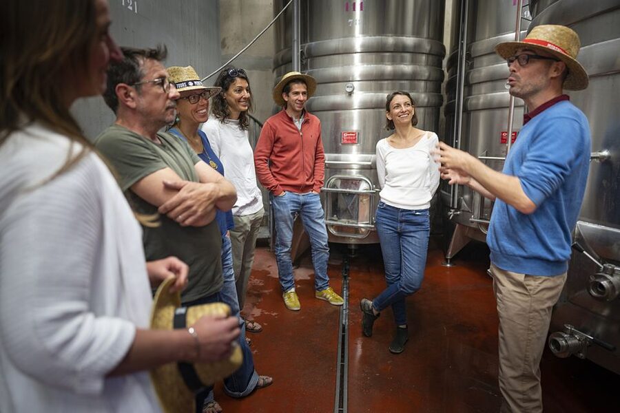 From Montpellier: Half-Day Vineyard & Pic Saint-Loup Tour - Guides Matter: Daniel, David, Leti, and Marc
