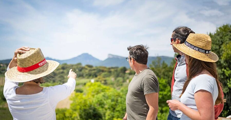 From Montpellier: Half-Day Vineyard & Pic Saint-Loup Tour - Price and Value: Is $93 for Four Hours Fair?