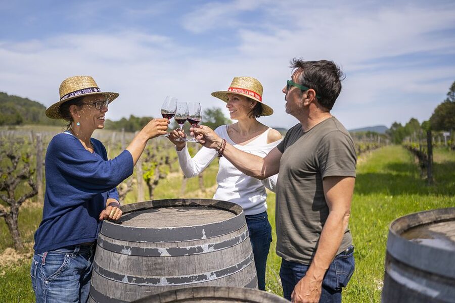 From Montpellier: Half-Day Vineyard & Pic Saint-Loup Tour - Pic Saint-Loup First Stop: Guided Time With Wine Tasting
