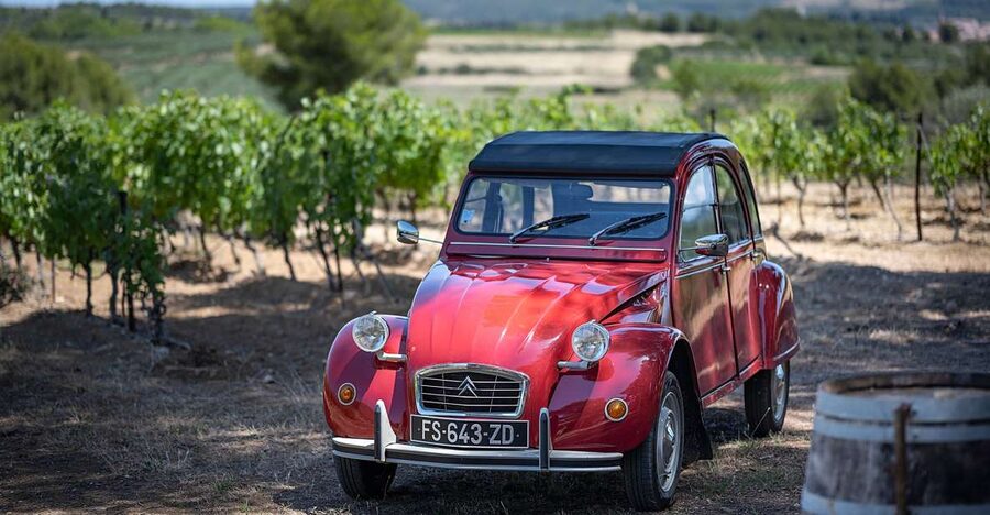 From Montpellier: Winery Tour in a Vintage Citroën 2CV - The Oak Barrel Room and How the Languedoc Fits Together