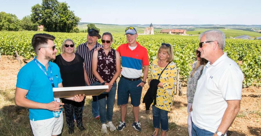 From Paris: Burgundy Region Winery Tour with Tastings - Key highlights to know before you go