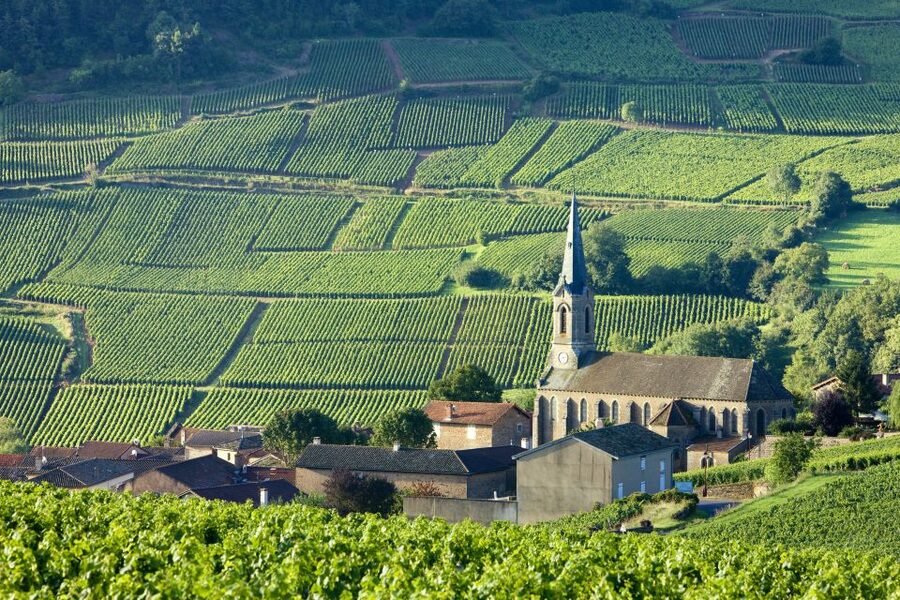 From Paris: Burgundy Region Winery Tour with Tastings - Transportation, comfort, and timing: the unglamorous part that makes or breaks a day