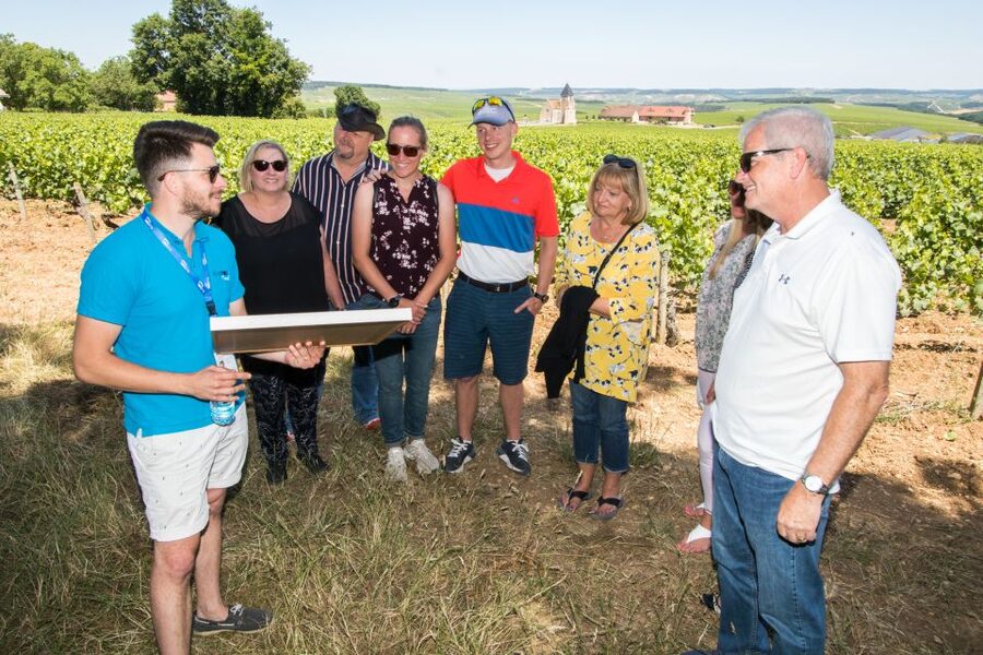 From Paris: Burgundy Region Winery Tour with Tastings - The real appeal: Burgundy tasting with a compare-and-contrast flow