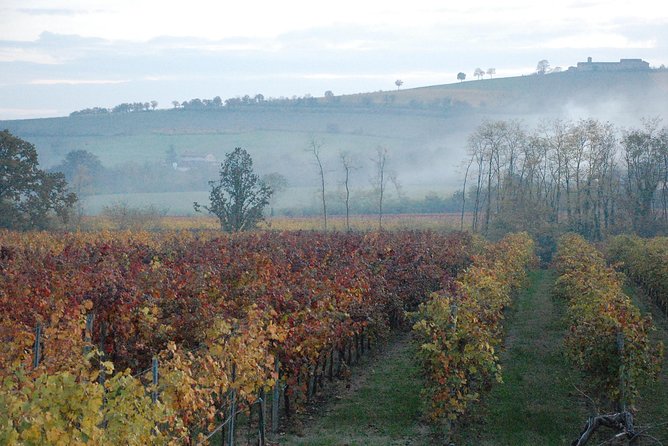From Parma: Parmigiano,Prosciutto and winery Tour and tasting - What You Really Get for $239.12: Value Beyond the Food